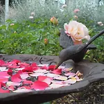 Ξενοδοχείο Relais Roncuzzi 4*